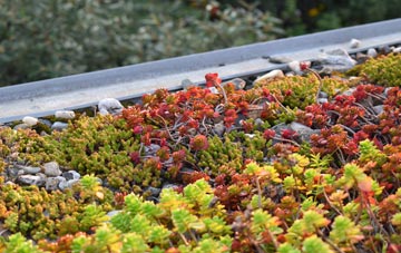 the cost of Roborough green roof installation