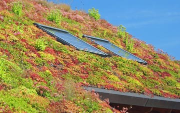 Roborough living roof systems