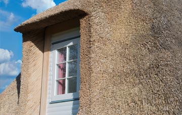 Roborough thatch roof disadvantages